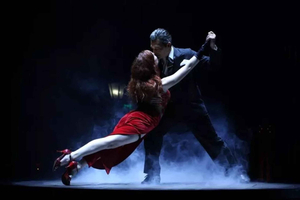 Señor Tango VIP: Gourmet Dinner + show