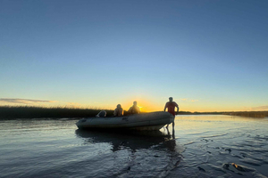 Tigre: Safari Delta Boat Tour in Tigre