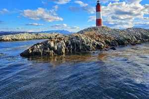 Ushuaia: Beagle Channel and Penguin Island
