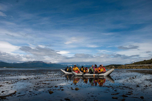 Ushuaia: Gable Island and Penguin Colony with Canoeing
