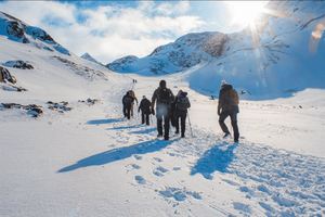 Ushuaia: Guided Trek to Laguna de los Témpanos and the Vinciguerra Glacier