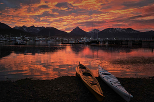 Ushuaia: Kayaking in the bay with visits to El Cartel, the lighthouse, and wildlife.