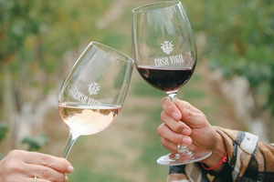 Winery Tour in Mendoza: Casa Vigil, Vistandes, and 1870 Esencia.
