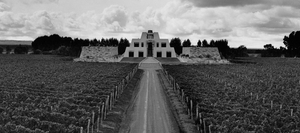 Catena Zapata