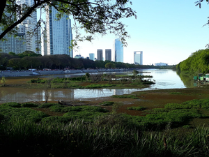 Costanera Sur