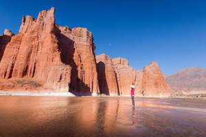 Depuis Salta : Excursion à Cafayate avec dégustation de vin