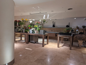 Gioia Cocina Botánica