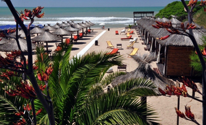 Honu Beach