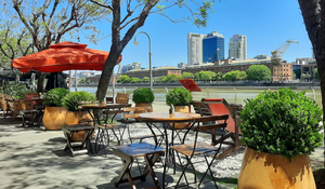 Lobo Café Puerto Madero
