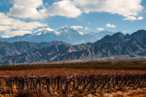 Mendoza : Visite d'une jounée avec déjeuner de 3 plats