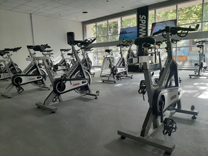 Mendoza Wellness