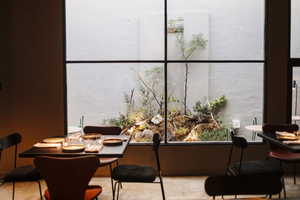 MUSGO Restaurante