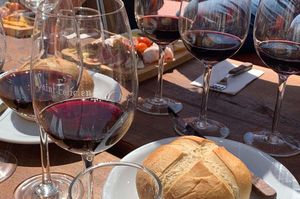 Puerto Madero Wine Tasting Experience