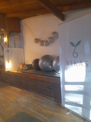Vikas Studio Wellness