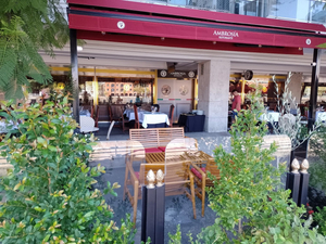 Vince il bar