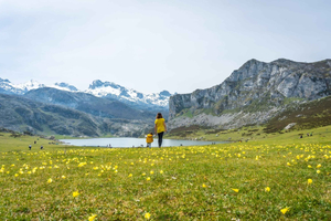 Da Oviedo e Gijón: Laghi di Covadonga, Cudillero ed eremo della Regalina