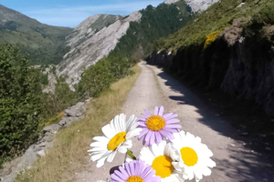 Asturië: avondtour met bivak in Redes