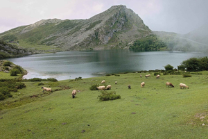 Excursie naar de meren van Covadonga, Cangas de Onís in kleine groep