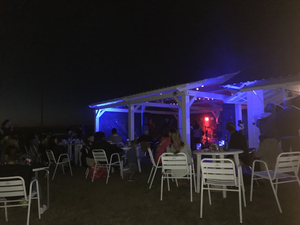 Rn Surfbar