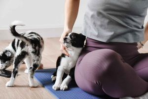 Athens: Puppy Yoga Class