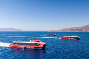 Athènes : Voyage en ferry entre Athènes et l'île d'Égine