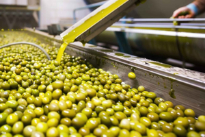 Da Atene: Tour privato di Corinto e degustazione dell'olio d'oliva
