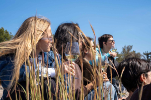 Greek Wine Tasting and Picnic on Philopappou Hill