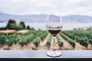 Cata privada de vinos en Atenas