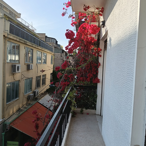 Athens Nala