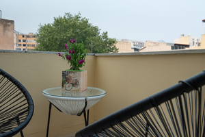 Beautiful City Suites