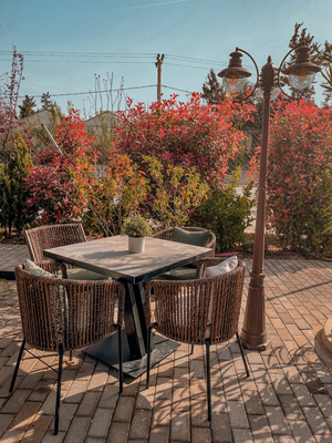 Bond Cafe Restaurant