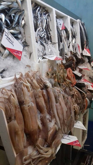 Fish Time