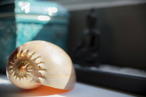 Soma Therapy & Spa Lagonisi