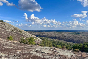 Stone Mountain Plus - Private Tour with a Local