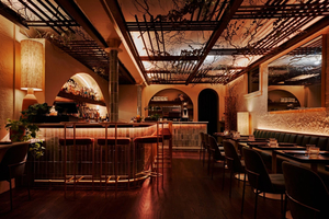 Bar ANA