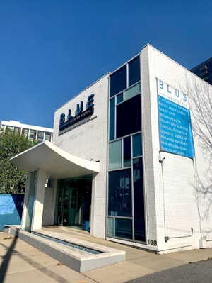 BLUE Med Center & Spa
