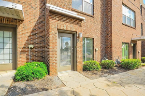 The Wellness Noir