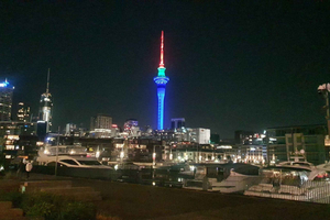 Auckland Airport / Auckland CBD Private Transfer