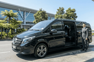 Auckland: AKL Airport to City Centre|Hotels Private Transfer