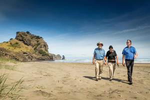 Auckland City and West Coast Luxury Tour
