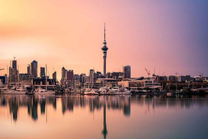 Auckland City Highlights Full Day Tour