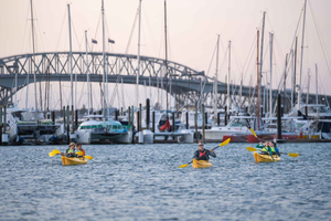 Auckland: City Scenes Kayak Tour