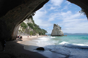 Auckland: Coromandel Day Tour including Hot Water Beach