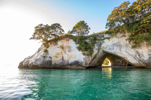 Auckland: Coromandel Driving Creek & Cathedral Cove Day Tour