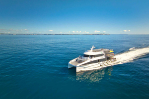 Auckland: Coromandel Peninsula Ferry and Bus Transfer
