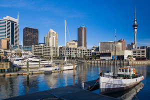 Auckland: Private City Tour with Mount Victoria and Mt. Eden