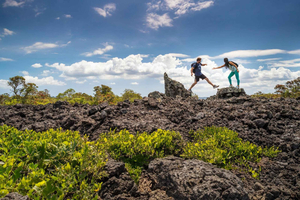 Auckland: Return Ferry Ticket to Rangitoto Island