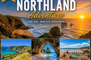 tour naturalistico e delle spiagge della penisola di Coromandel