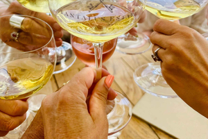 From Auckland: Waiheke Island Wineries' Tour