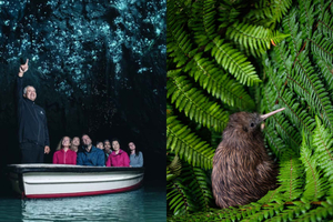 From Auckland: Waitomo Caves and Kiwi House Group Tour